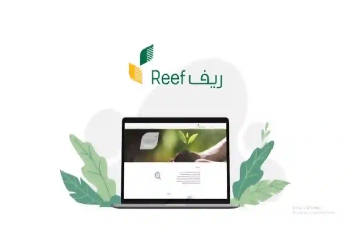 برنامج ريف يعلن وقف الدعم عن آلاف المستفيدين بعد بدء تطبيق هذا الشرط